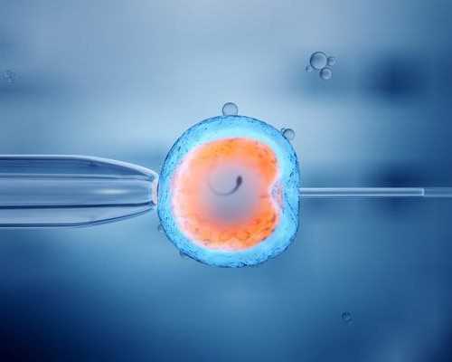 北京试管代生机构,怎么做能提高试管婴儿胚胎着床成功率？_解冻自然周期什么